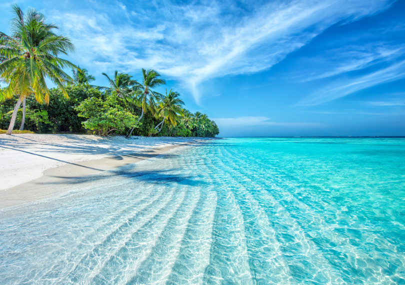 Voyage Danse hiver 2026